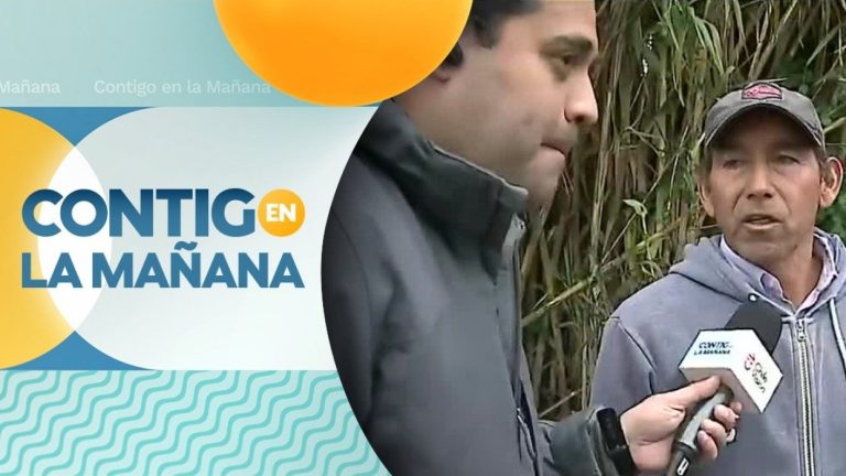 Daño millonario: Vecino de La Manreza perdió toda su cosecha tras salida del río Maipo