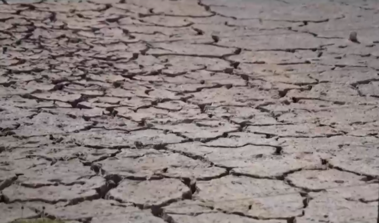 Alerta mundial por fenómeno de El Niño: ¿Qué puede ocurrir en Chile?