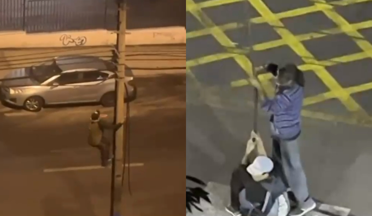 Más de 700 kilómetros de cable fueron robados entre 2021 y 2022: Afectaron a 1,2 millones de clientes