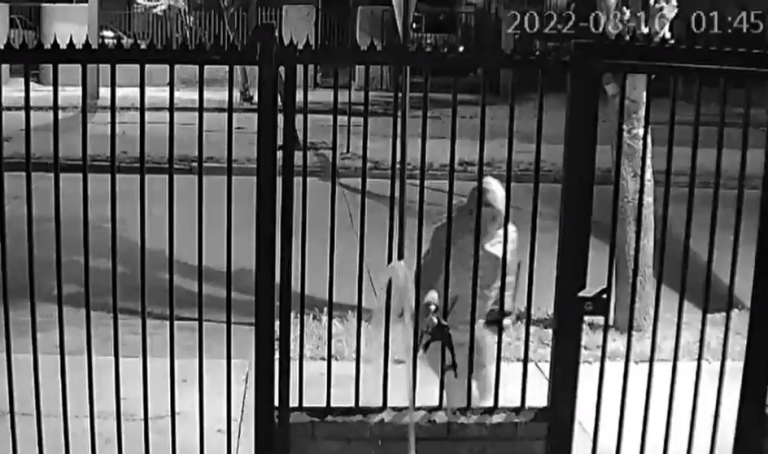 Aumenta el robo de medidores de agua: ¿Con qué fin se realiza y cuáles son las penas que se arriesgan?