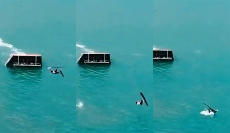 ¡De película! Esquiador chileno sufrió impactante caída en plena competencia, pero igualmente ganó el oro