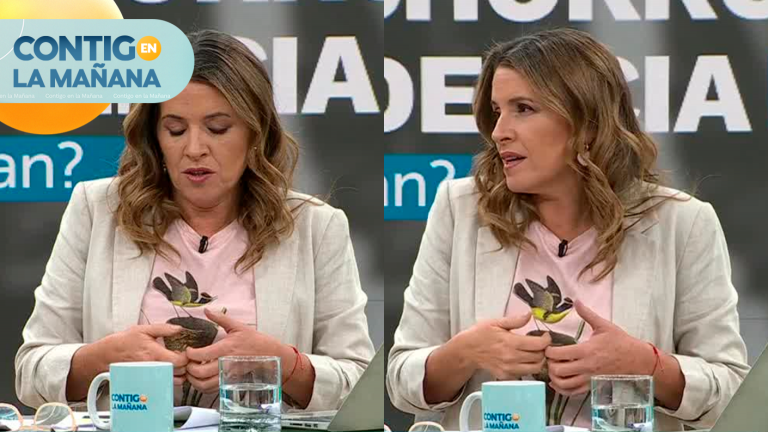 “Con manos de terciopelo”: Así vivió Monse Álvarez el ataque de un “bicichorro” en Providencia