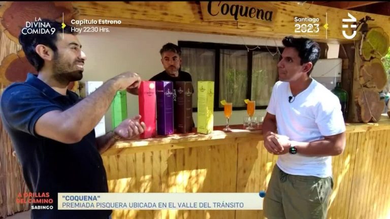 A Orillas del Camino: Juan Pablo Queraltó tomó la Ruta C-485 para conocer el Alto del Carmen