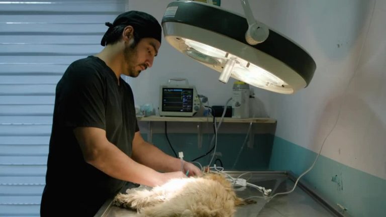 Misión Pyme | Capítulo 4