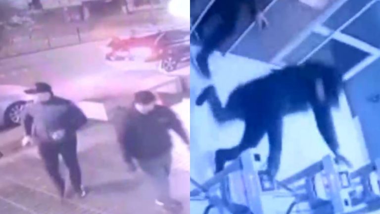 Falsos PDI simularon allanamiento en edificio de Independencia: Acudieron con supuestos detenidos esposados