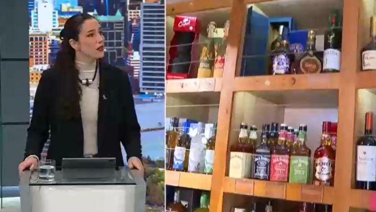 Subs. de Salud detalla implementación de sellos en bebidas alcohólicas: Adelantó cuándo se pondrá en marcha