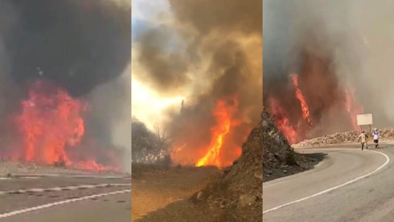 Alerta Roja en Alto del Carmen: Senapred llama a evacuar sectores afectados por incendio forestal