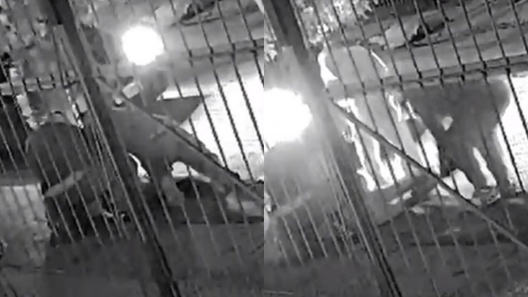 Crudo registro: El momento en que vecinos capturaron a adolescente que apuñaló a su víctima en la vía pública