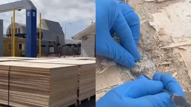 Más de 2 toneladas de cocaína son incautadas en puerto de Arica: Droga estaba entre palets de madera