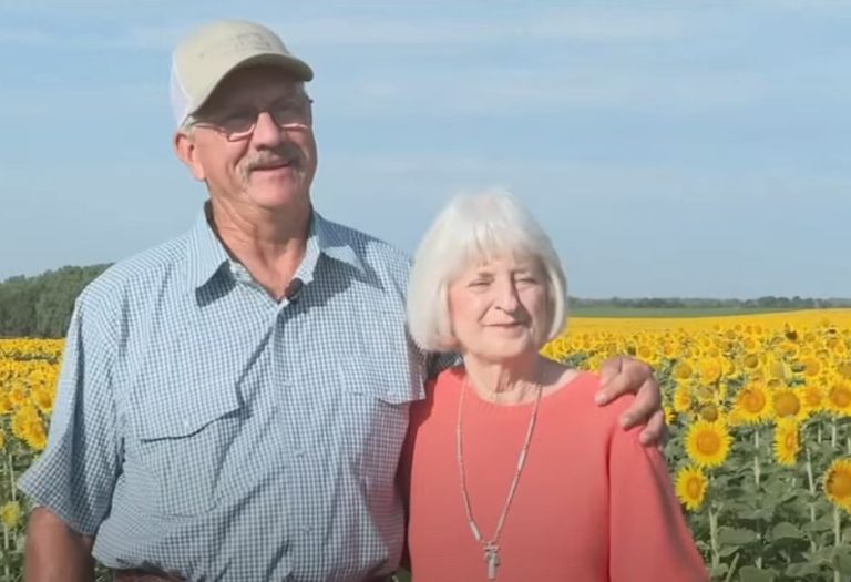 ¿Y dicen que el romance ha muerto? Hombre plantó más de 32 hectáreas de girasoles por 50 años con su esposa