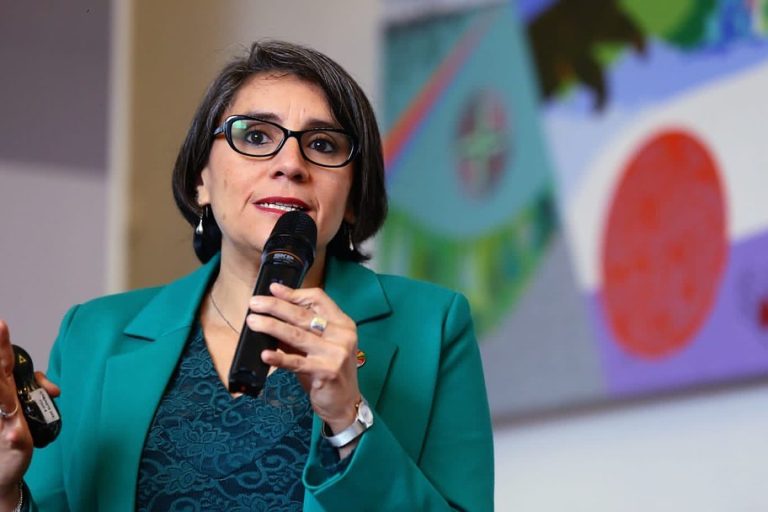 Quién es Paula Poblete, la nueva ministra de Desarrollo Social que asume tras renuncia de Giorgio Jackson