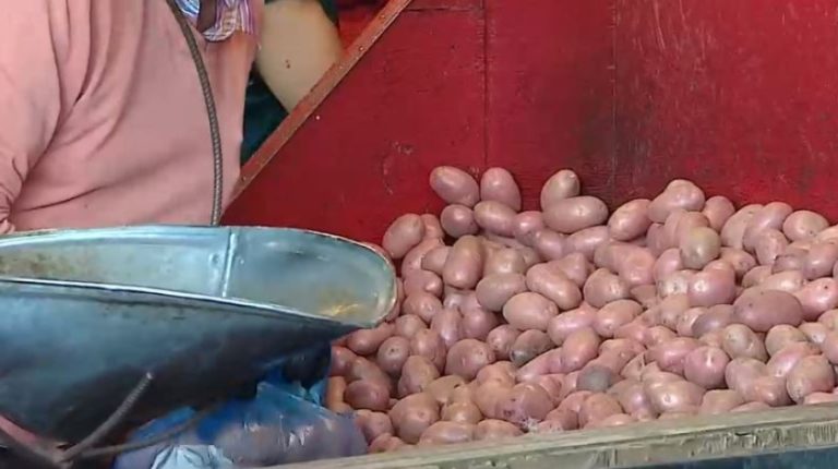 ¿Sube la papa? IPC informa incremento de 20% en el precio de la hortaliza en el mercado