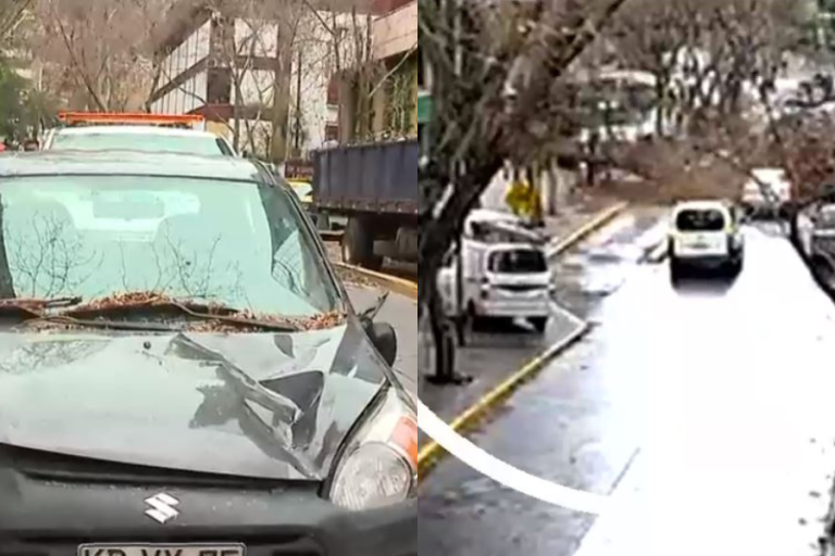 Captan momento exacto en que árbol cayó sobre auto en Providencia