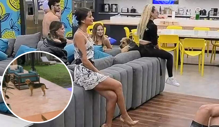 Remezón en GH: Lo que se sabe sobre la 