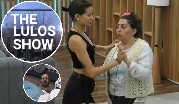 ¡Hasta con miradas a la cámara! El opening de Gran Hermano al más puro estilo de The Office