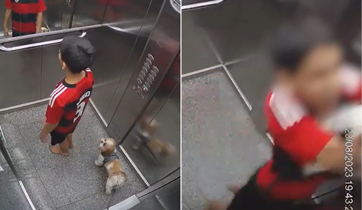 ¡Héroe sin capa! Niño de 11 años salvó a su perrita tras quedar enganchada en ascensor