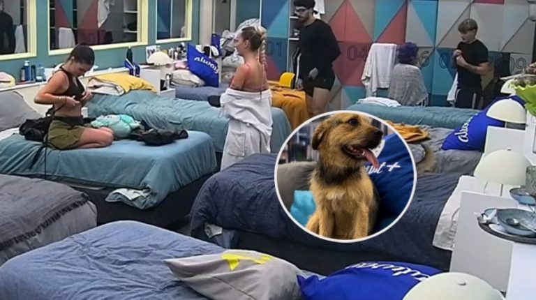 Un travieso Bigote dejó la grande en la 