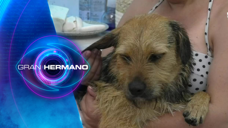 ¡Por primera vez desde su ingreso! Coni y Pincoya obligaron a bañarse a este jugador