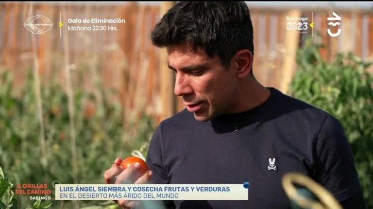 A Orillas del Camino: Juan Pablo Queraltó recorrió la ruta que une a Antofagasta y Mejillones