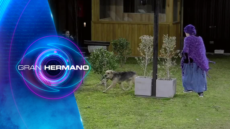 ¿Le pudo seguir el ritmo? Bigote puso a prueba a Mónica con divertido juego