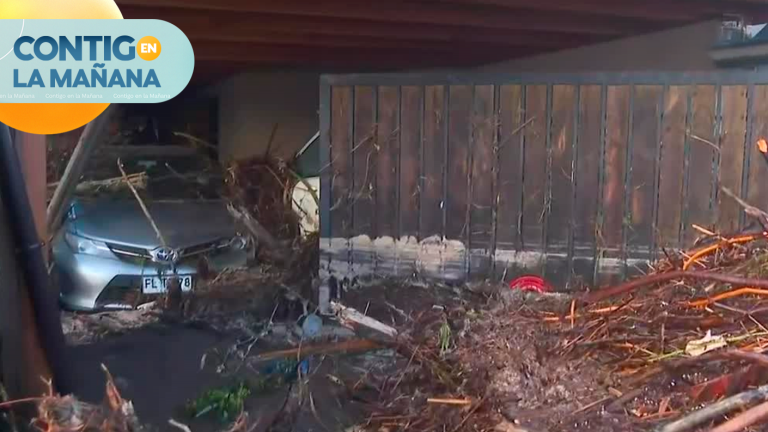 Impactantes imágenes: Así quedó villa de Curicó tras el paso de río