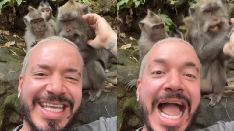 ¡Usted no lo haga! J Balvin fue mordido por un mono y este es el video que muestra el momento exacto