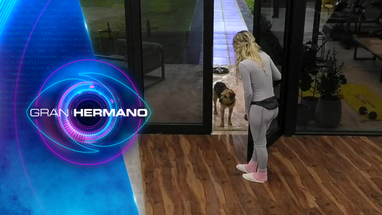 ¡No les hizo caso! Bigote no quiso obedecer las indicaciones que le entregaron Fran y Jorge