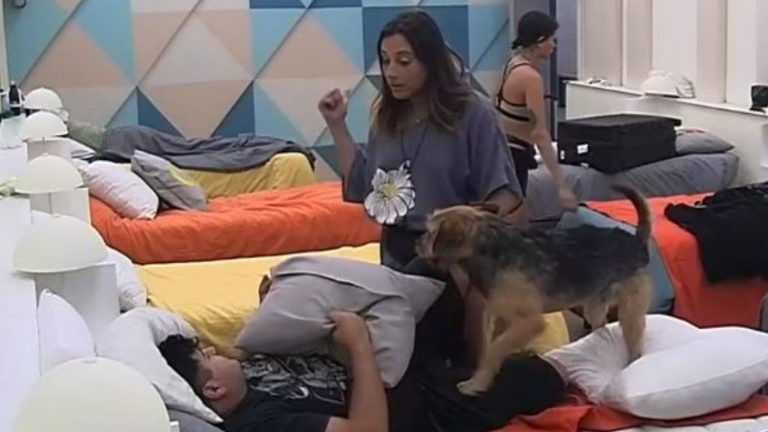 Trinidad pide contención ante difícil paso por la placa de eliminación en Gran Hermano Chile