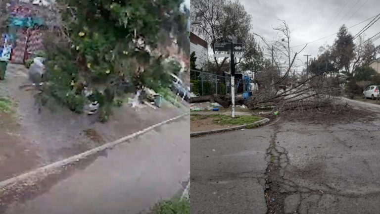 ¡Se salvó de milagro! Árbol cayó sobre vecino en Quinta Normal tras fuertes vientos