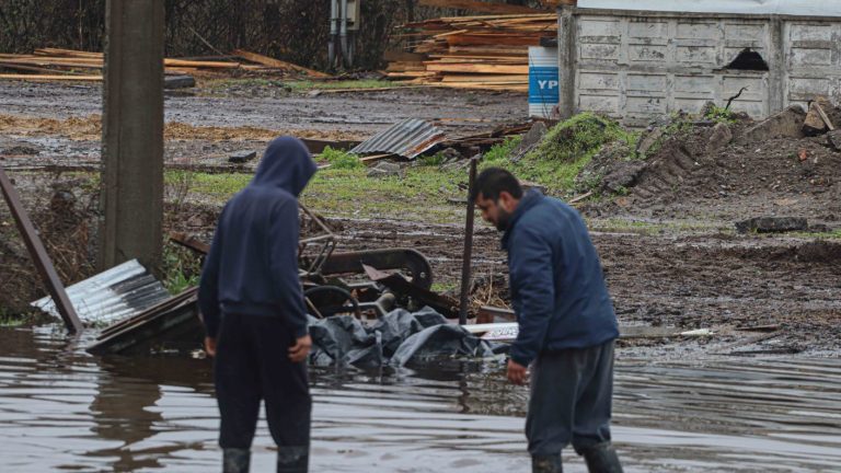 Bonos para damnificados: Conoce cómo obtener ayuda de hasta 1 millón de pesos