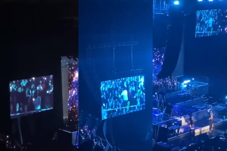 Con Luis Miguel de fondo: Enamorado se la jugó y pidió matrimonio en pleno show del Sol de México