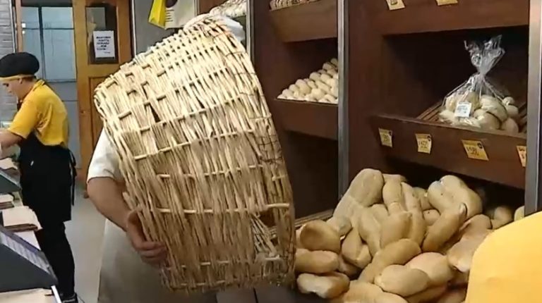 Subsidio al precio del pan: Proponen proyecto para bajar su precio y Ejecutivo advirtió que ya hay medidas