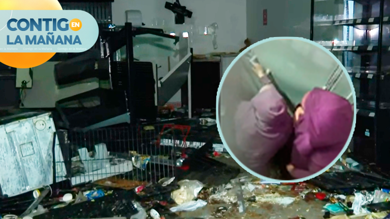 Dueños intentaron enfrentarlos: Más de 200 personas saquearon locales en Cerro Navia