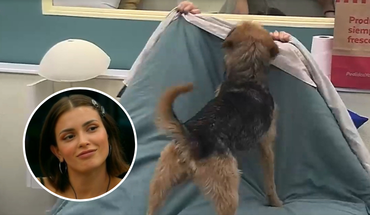 ¿Cambió de familia? Bigote se mostró más cercano que nunca con esta jugadora en Gran Hermano