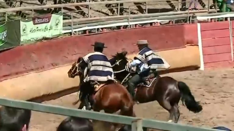 Consejo Constitucional rechazó enmienda que declara el rodeo como deporte nacional
