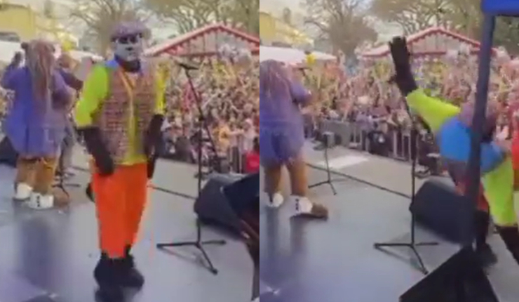 ¡Qué dolor! Gato Juanito se hace viral tras fallida entrada en evento dieciochero