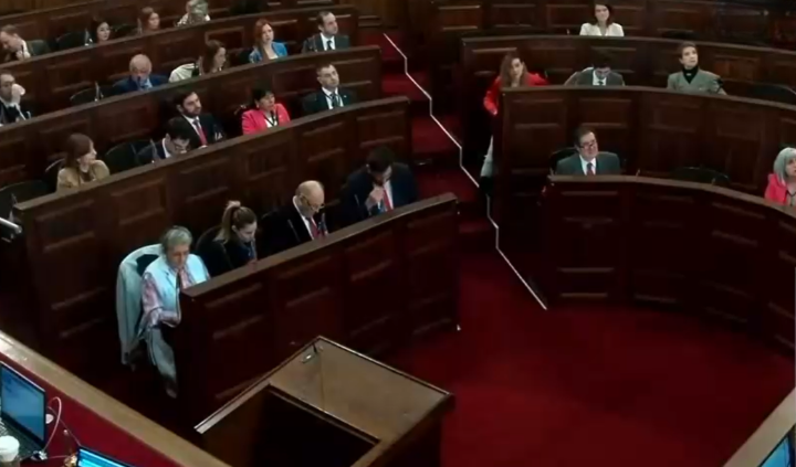 Consejo constitucional aprobó el derecho a la vida de 