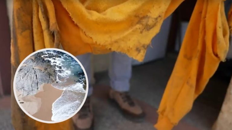 El impactante relato de mujer atacada por jauría de perros en la playa de El Tabo