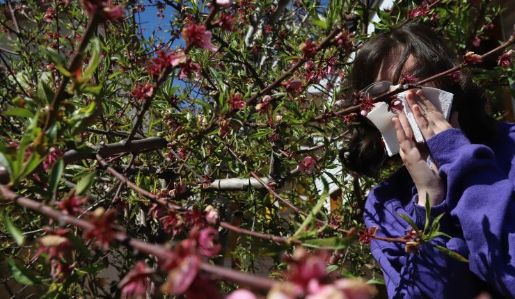 6 consejos sencillos para aliviar las alergias de la primavera