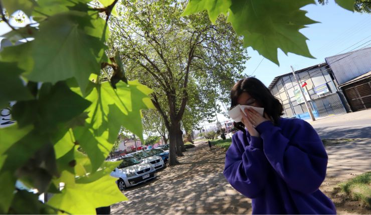 ¿Cuáles son los síntomas de la alergia estacional en primavera?
