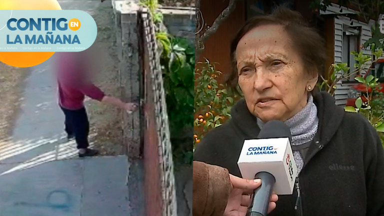 ¡Una pesadilla! Adulta mayor denuncia que vecino le lanza piedras y pinturas