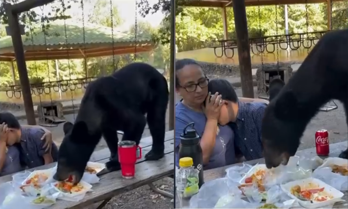 Estaban buenos los tacos: Oso 