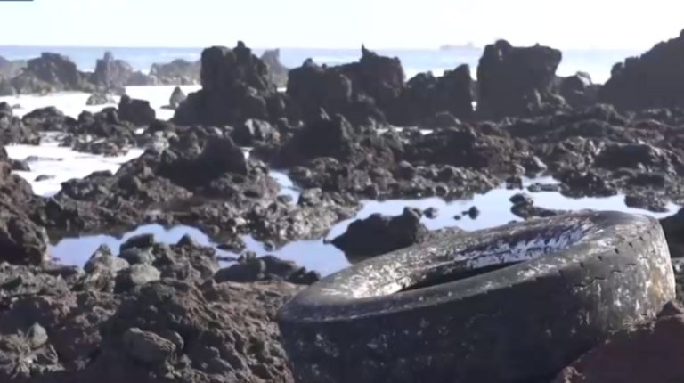 Las toneladas de microplásticos que amenazan al ecosistema de Rapa Nui