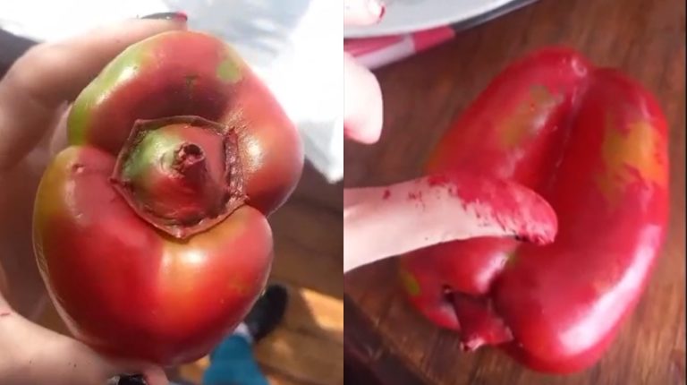 Insólito: Vecina denunció que le vendieron pimentones rojos pintados con spray en Viña del Mar