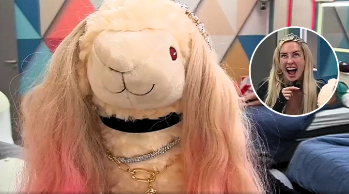 ¿Peinando la muñeca? Fran Maira hizo creativa intervención a su oveja en Gran Hermano