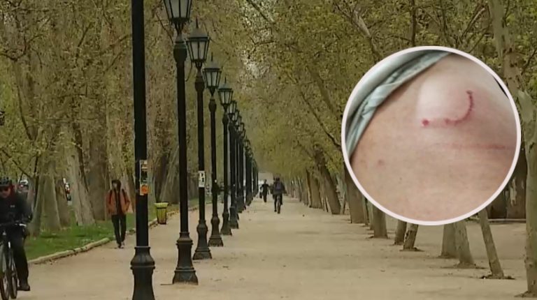 Adiestran perros para asaltos: Buscan a banda que ataca con animales en Parque Forestal