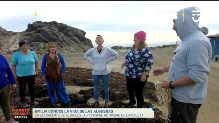 Mujeres De Mar: Emilia Daiber llegó hasta la Región de Atacama para conocer el oficio de las rederas