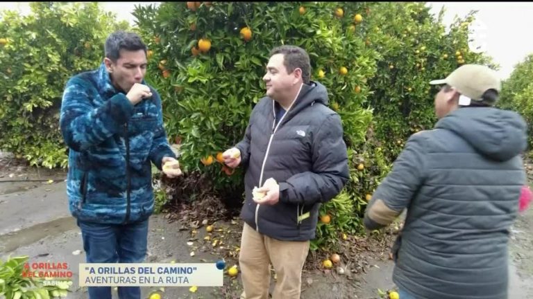 A Orillas del Camino: Juan Pablo Queraltó recorrió la ruta 66 entre Pelequén y San Antonio