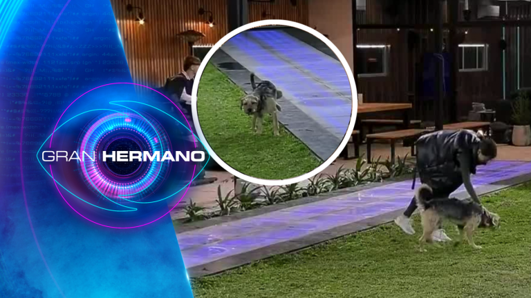 Coni celebró el nuevo logro de Bigote en Gran Hermano: “¡Cómo un adulto!”