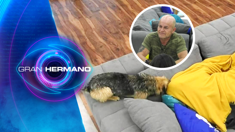 Bigote interrumpió la siesta de Francisco y este lo espantó con particular técnica